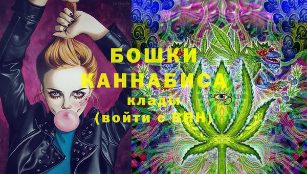 прущие крисы Верея
