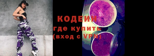 дмт Бородино