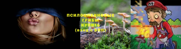 марки lsd Бугульма