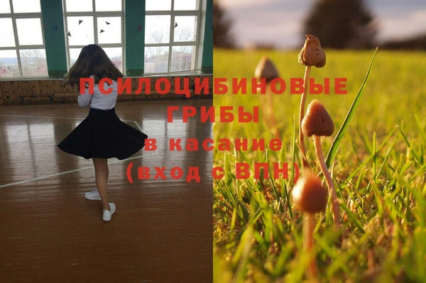 прущие крисы Верея