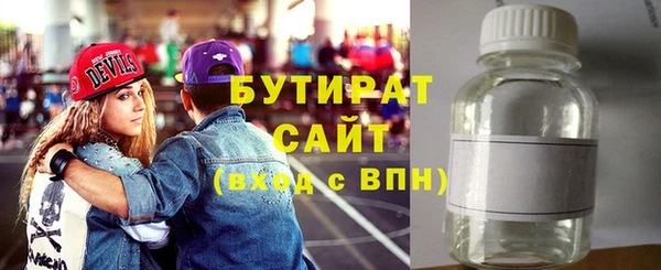 дмт Бородино