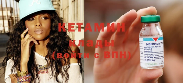 дмт Бородино