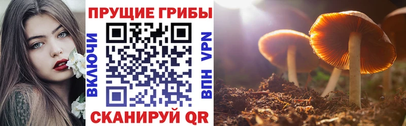 Галлюциногенные грибы ЛСД  где купить наркотик  Дедовск 